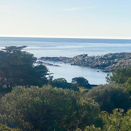 Maison De Pecheur Superbe Vue Mer, Grand Jardin Cadaqués Esterno foto
